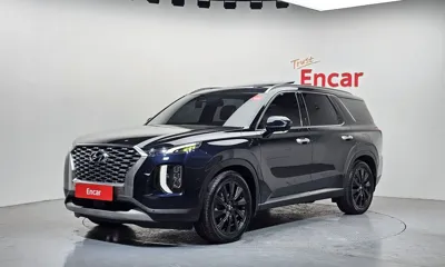 Hyundai Palisade · 2019 год