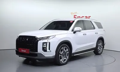 Hyundai Palisade · 2024 год
