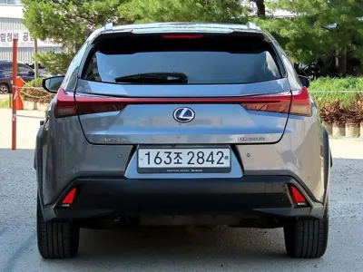 Lexus UX 2019, 88414 км, за 17746.86 USD