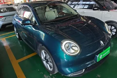 ORA Good Cat 2022, 28200 км, за 10586 USD