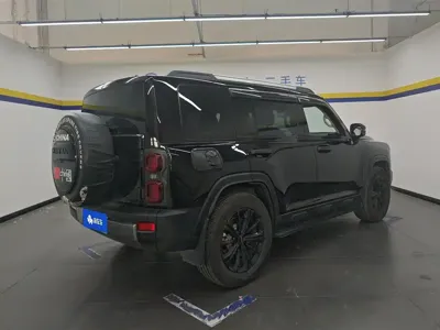 Haval Menglong New Energy 2024, 37000 км, за 19743.41 USD