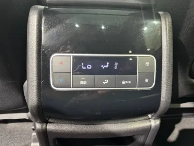 BYD Tang New Energy 2018, 80000 км, за 8799.12 USD - фото 11