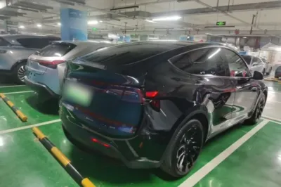 Tesla Model Y 2021, 100900 км, за 24174 USD - фото 6