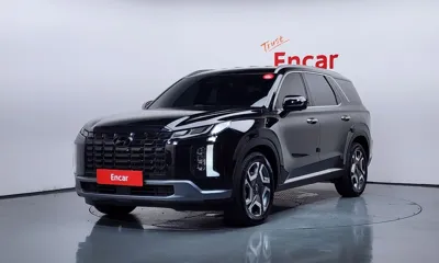 Hyundai Palisade · 2024 год