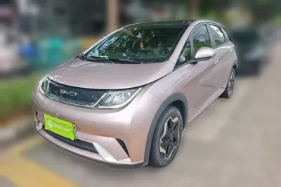 BYD Dolphin · 2021 год
