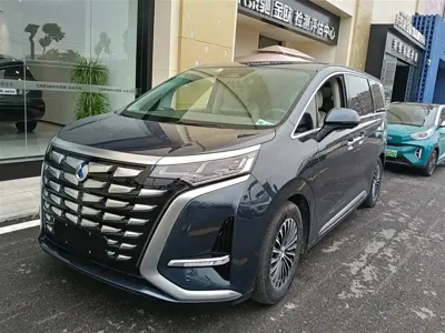 Denza Denza D9 · 2023 год