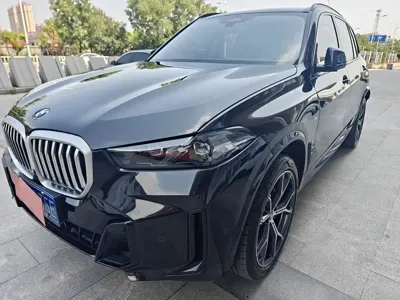 BMW X5 · 2024 год
