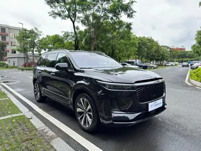 Li Auto Li ONE 2021, 47000 км, за 18510.53 USD