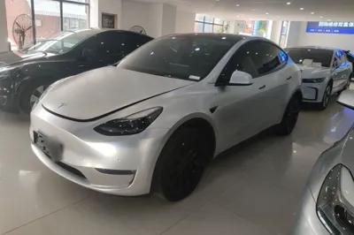 Tesla Model Y · 2021 год