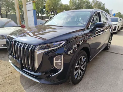 Hongqi HS7 PHEV · 2025 год