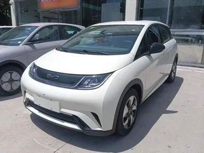 BYD Dolphin · 2024 год
