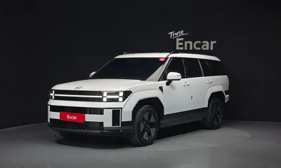 Hyundai Santafe · 2024 год