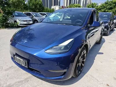 Tesla Model Y · 2021 год