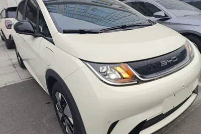 BYD Dolphin 2023, 36600 км, за 11120 USD