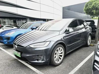 Tesla Model X · 2018 год