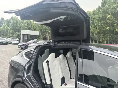 Tesla Model X 2018, 35000 км, за 29399.08 USD - фото 11
