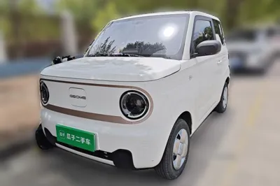 Geely Galaxy Panda · 2023 год