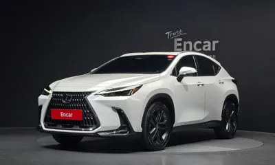 Lexus NX · 2023 год