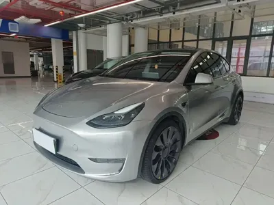Tesla Model Y · 2022 год