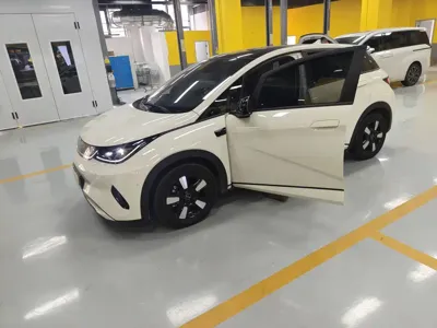 BYD Dolphin · 2025 год