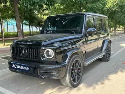 Mercedes-Benz G-Class 2019, 110000 км, за 149791.09 USD - фото 6