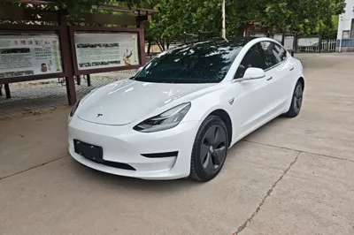 Tesla Model 3 · 2019 год