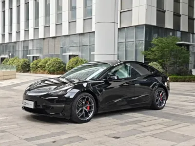 Tesla Model 3 · 2021 год