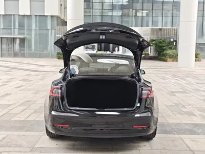 Tesla Model 3 2021, 75500 км, за 20150.43 USD - фото 12