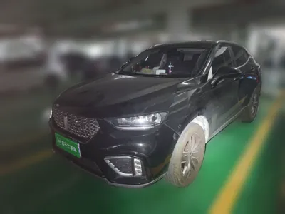 WEY VV5 · 2021 год