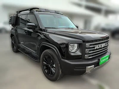 Haval Raptor New Energy