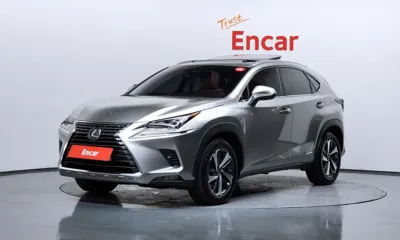 Lexus NX · 2020 год