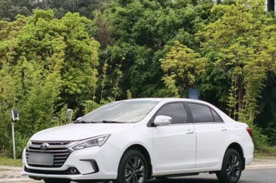 BYD Qin New Energy · 2018 год