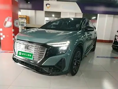 Audi Q5 e-tron · 2024 год