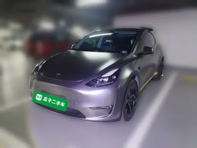 Tesla Model Y · 2021 год