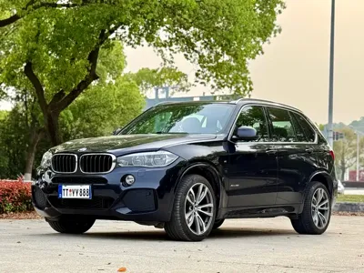 BMW X5 (Import) · 2018 год