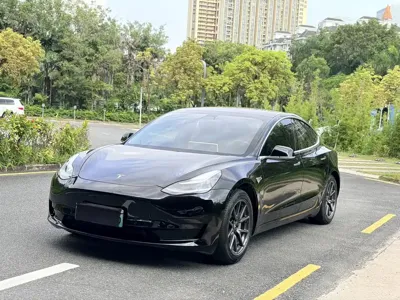 Tesla Model 3 · 2020 год