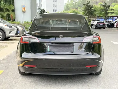 Tesla Model 3 2020, 83000 км, за 14719.52 USD