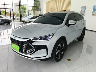 BYD Tang New Energy · 2024 год