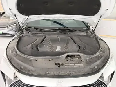 BYD Tang New Energy 2024, 25000 км, за 15538.25 USD - фото 16