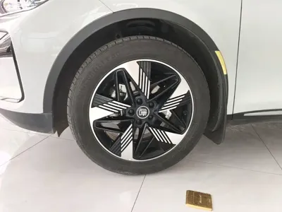 BYD Tang New Energy 2024, 25000 км, за 15538.25 USD - фото 25