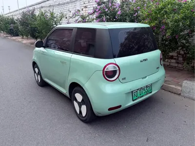 Qiyuan Lumin 2022, 50000 км, за 3315.21 USD