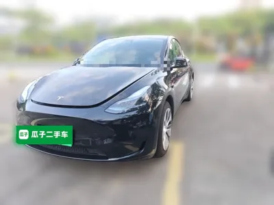 Tesla Model Y · 2022 год