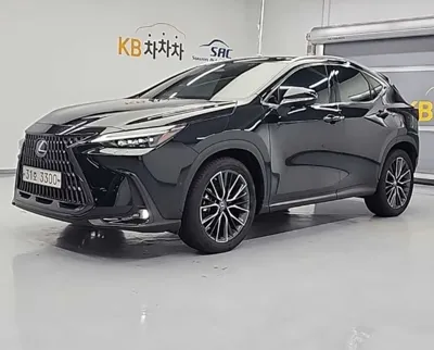 Lexus NX · 2022 год