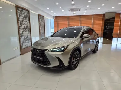 Lexus NX · 2024 год