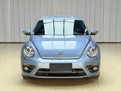 Volkswagen Beetle 2019, 50000 км, за 11389.38 USD