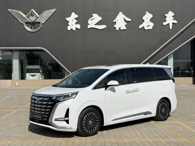 Denza Denza D9 · 2023 год