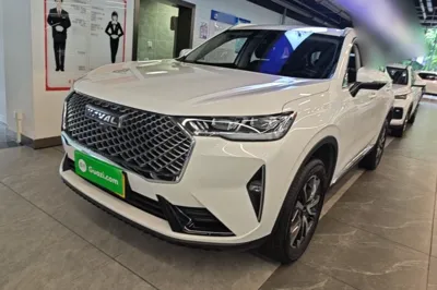 Haval H6 · 2022 год