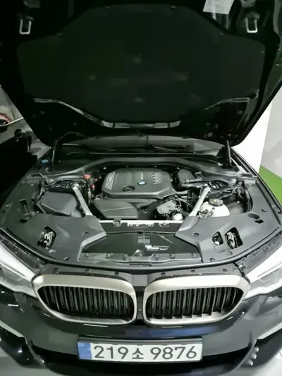 BMW 5-Series 2019, 90600 км, за 18051.73 USD - фото 6
