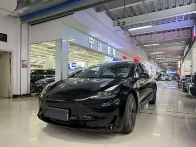 Tesla Model 3 · 2021 год
