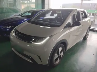 BYD Dolphin · 2023 год